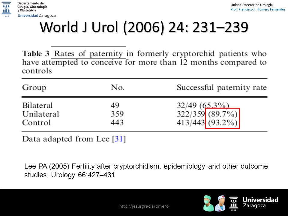 World J Urol (2006) 24: 231–239 Lee PA (2005) Fertility after cryptorchidism: epidemiology and other outcome studies. Urology 66:427–431.