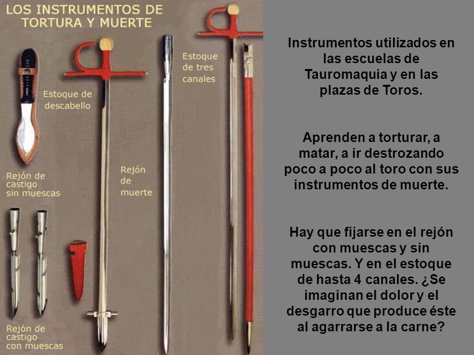 Instrumentos utilizados en las escuelas de Tauromaquia y en las plazas de Toros.