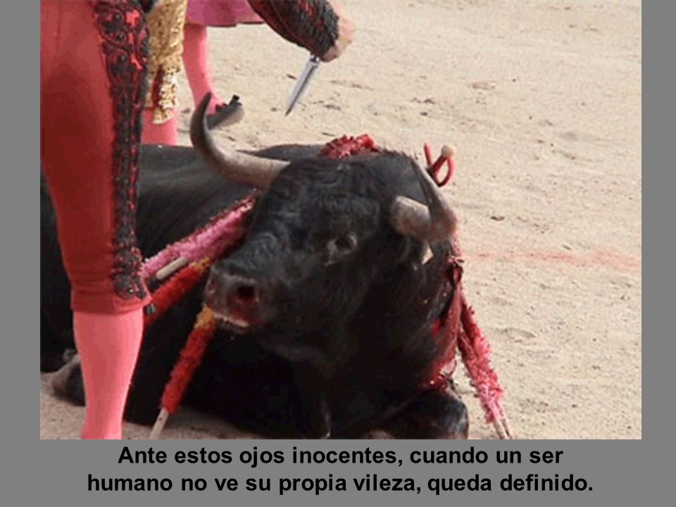 Ante estos ojos inocentes, cuando un ser humano no ve su propia vileza, queda definido.