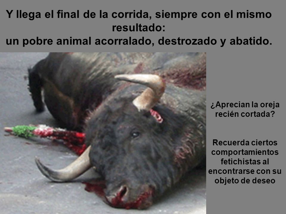 Y llega el final de la corrida, siempre con el mismo resultado: