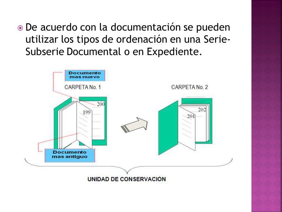 De acuerdo con la documentación se pueden utilizar los tipos de ordenación en una Serie- Subserie Documental o en Expediente.