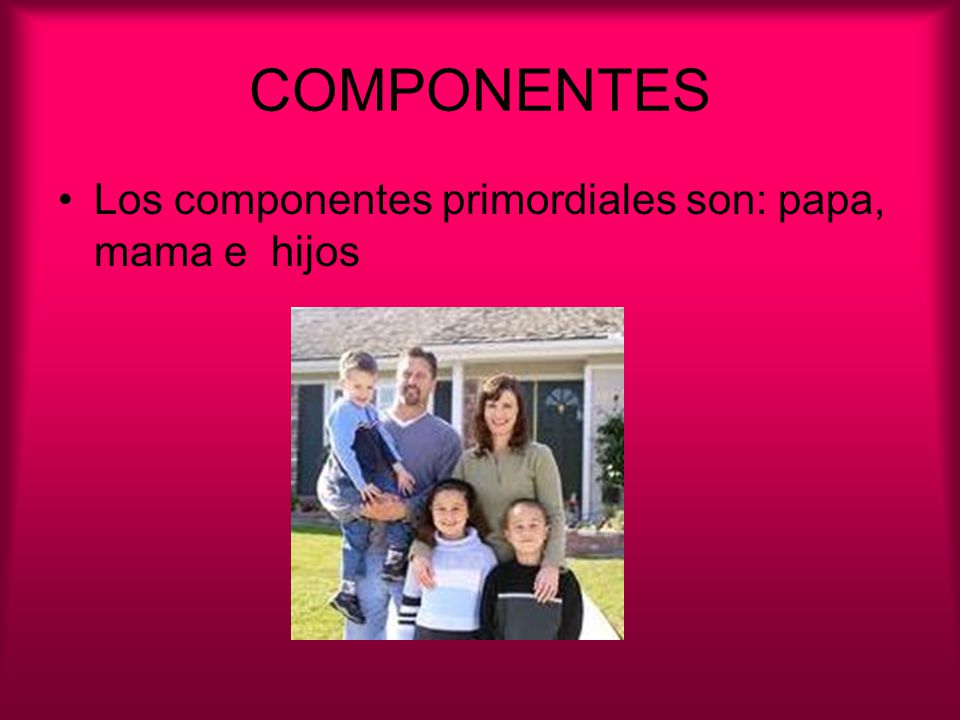 COMPONENTES Los componentes primordiales son: papa, mama e hijos