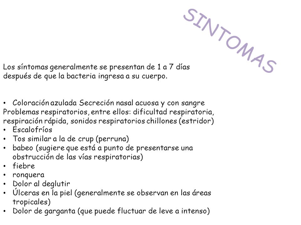 SINTOMAS Los síntomas generalmente se presentan de 1 a 7 días después de que la bacteria ingresa a su cuerpo.