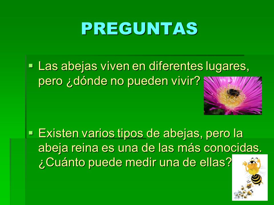 PREGUNTAS Las abejas viven en diferentes lugares, pero ¿dónde no pueden vivir