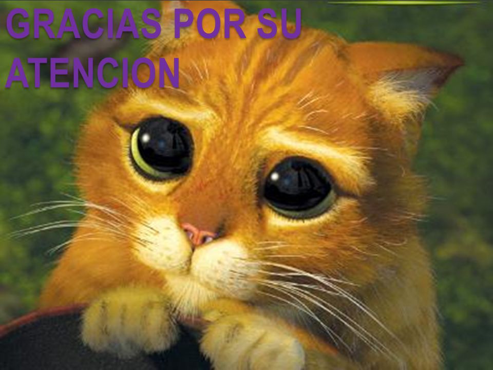 GRACIAS POR SU ATENCION
