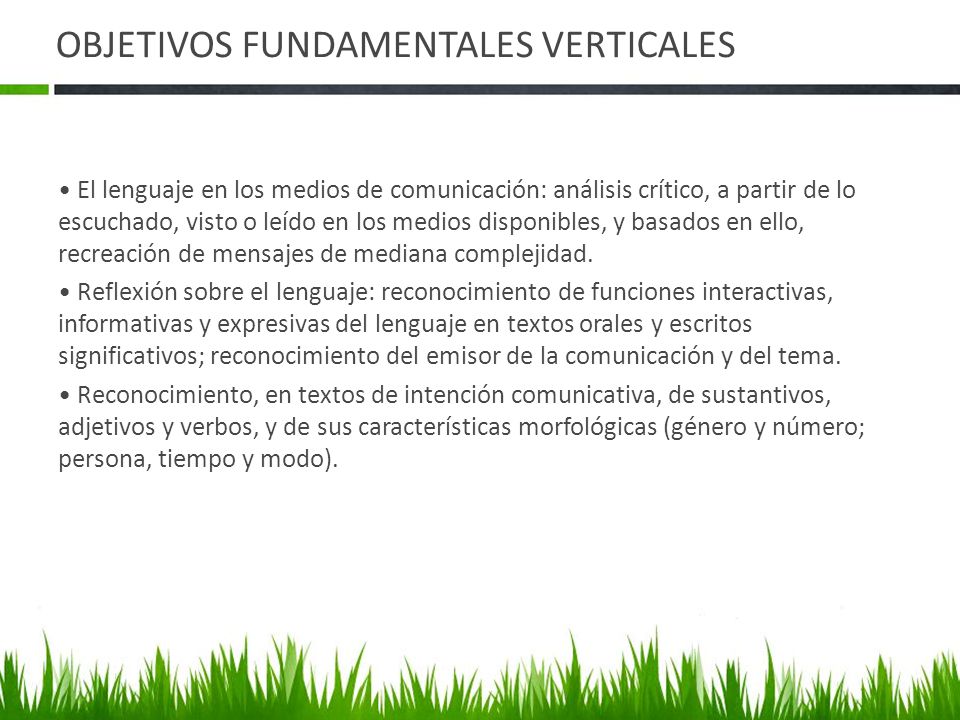 OBJETIVOS FUNDAMENTALES VERTICALES