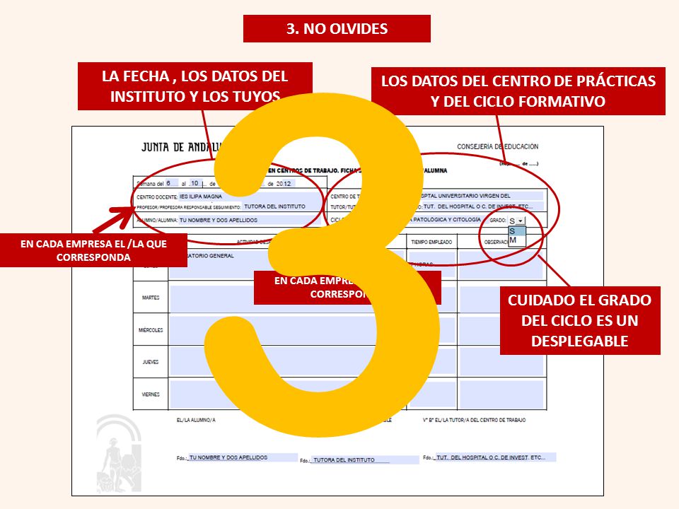 3 3. NO OLVIDES LA FECHA , LOS DATOS DEL INSTITUTO Y LOS TUYOS
