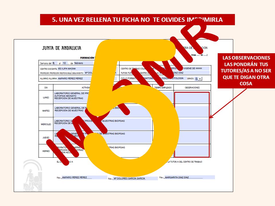 5. UNA VEZ RELLENA TU FICHA NO TE OLVIDES IMPRIMIRLA