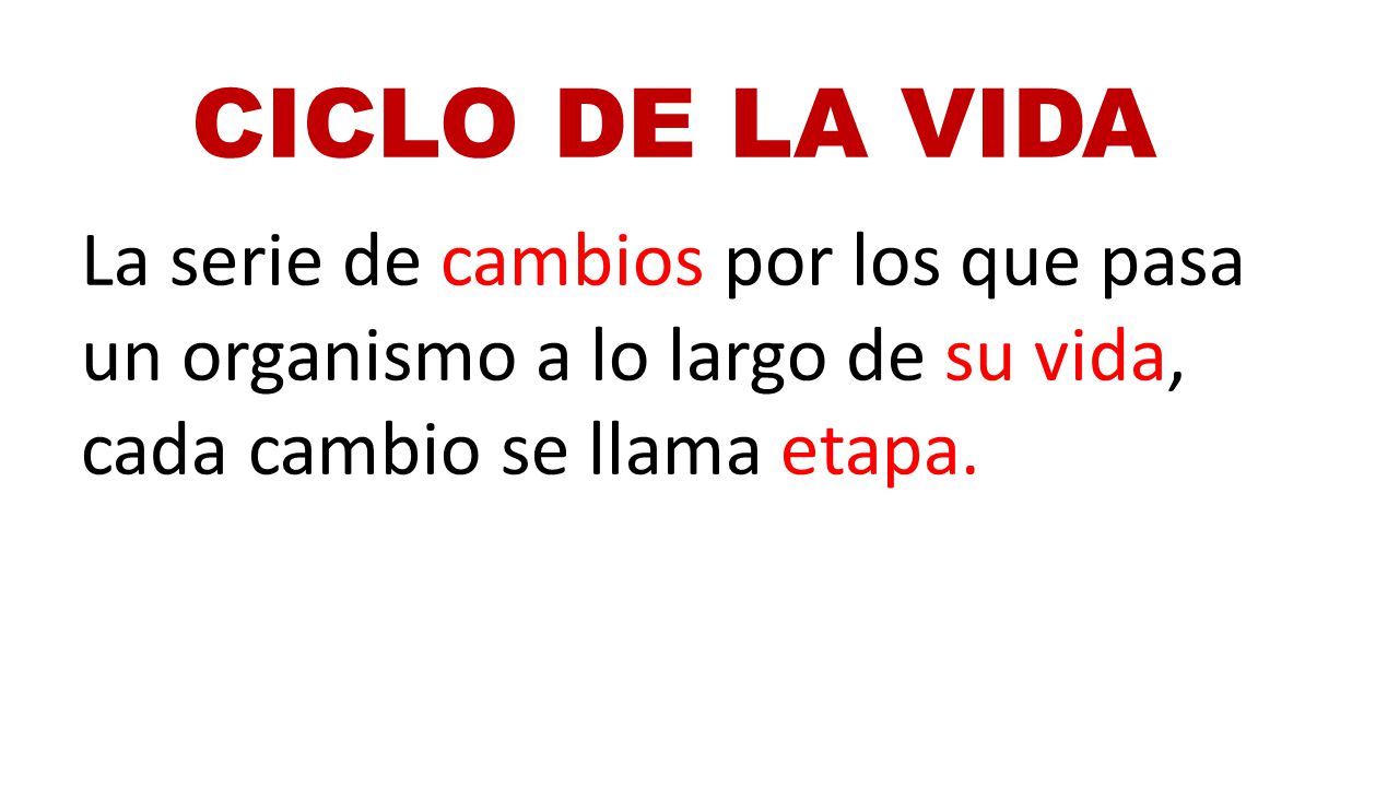 CICLO DE LA VIDA La serie de cambios por los que pasa un organismo a lo largo de su vida, cada cambio se llama etapa.