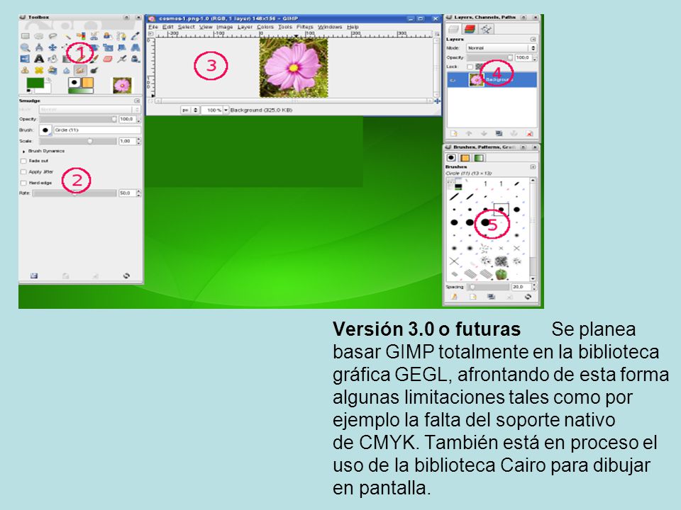 Versión 3.0 o futuras Se planea basar GIMP totalmente en la biblioteca gráfica GEGL, afrontando de esta forma algunas limitaciones tales como por ejemplo la falta del soporte nativo de CMYK.