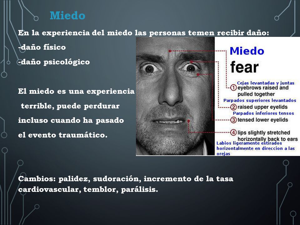 Miedo En la experiencia del miedo las personas temen recibir daño:
