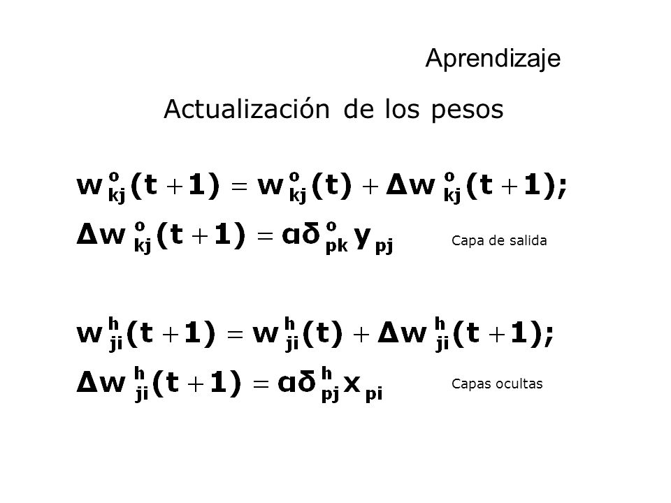 Actualización de los pesos