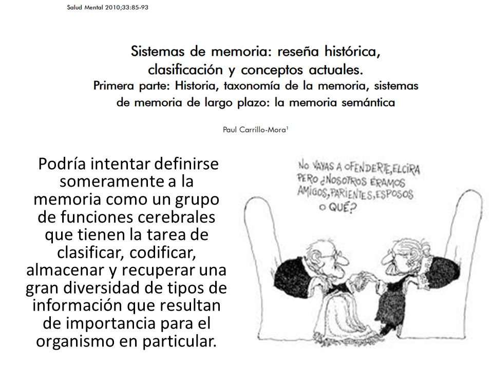Podría intentar definirse someramente a la memoria como un grupo de funciones cerebrales que tienen la tarea de clasificar, codificar, almacenar y recuperar una gran diversidad de tipos de información que resultan de importancia para el organismo en particular.