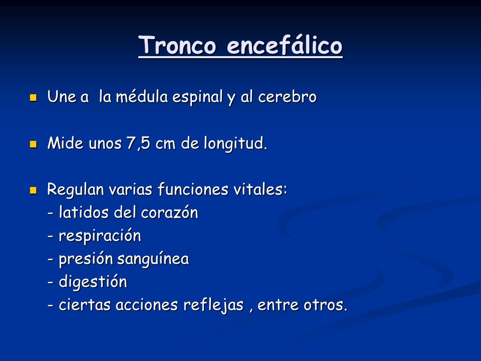 Tronco encefálico Une a la médula espinal y al cerebro