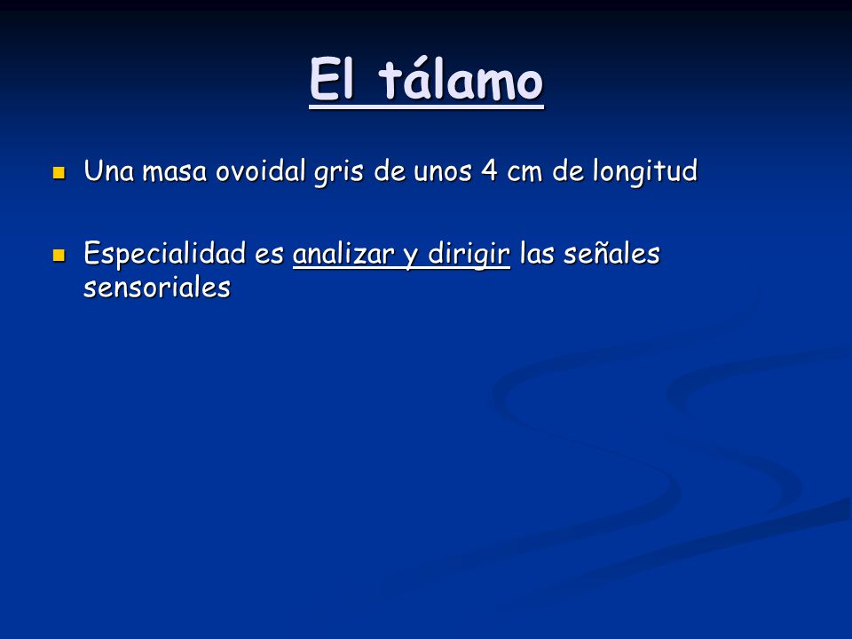 El tálamo Una masa ovoidal gris de unos 4 cm de longitud