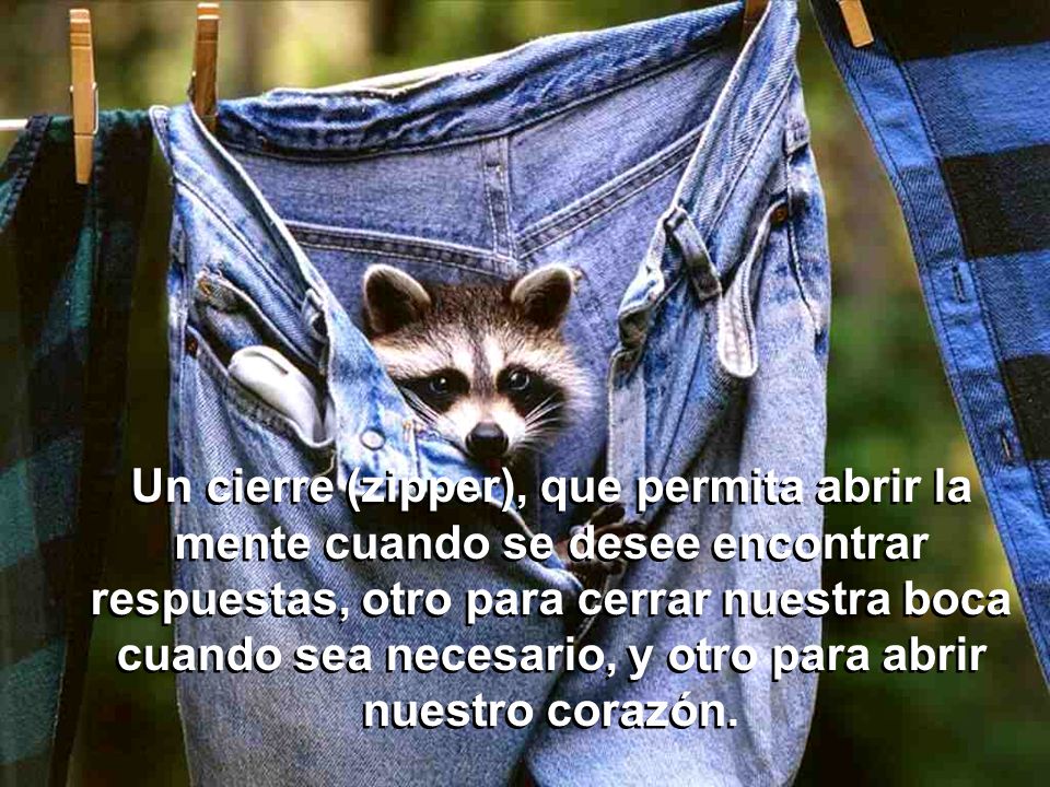 Un cierre (zipper), que permita abrir la mente cuando se desee encontrar respuestas, otro para cerrar nuestra boca cuando sea necesario, y otro para abrir nuestro corazón.