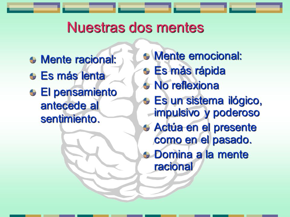 Nuestras dos mentes Mente emocional: Mente racional: Es más rápida