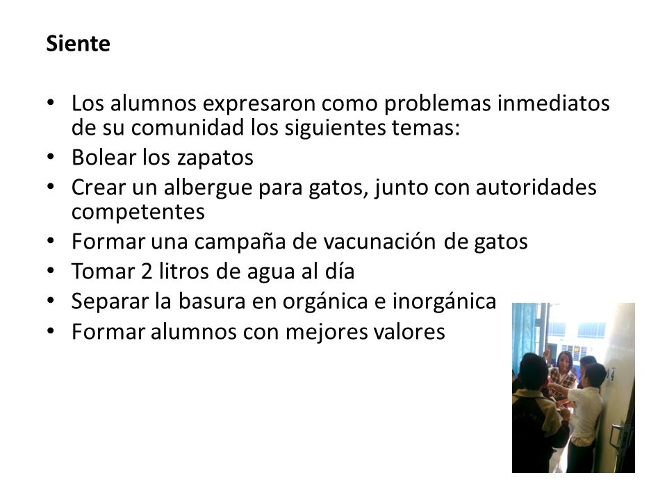 Siente Los alumnos expresaron como problemas inmediatos de su comunidad los siguientes temas: Bolear los zapatos.