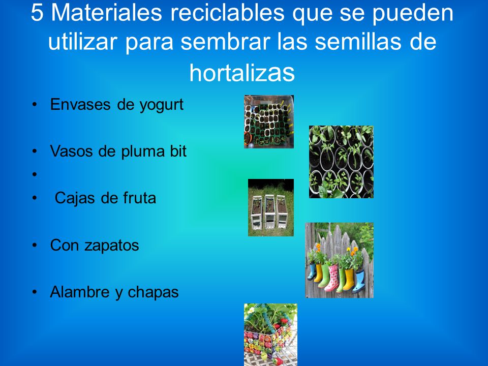 5 Materiales reciclables que se pueden utilizar para sembrar las semillas de hortalizas