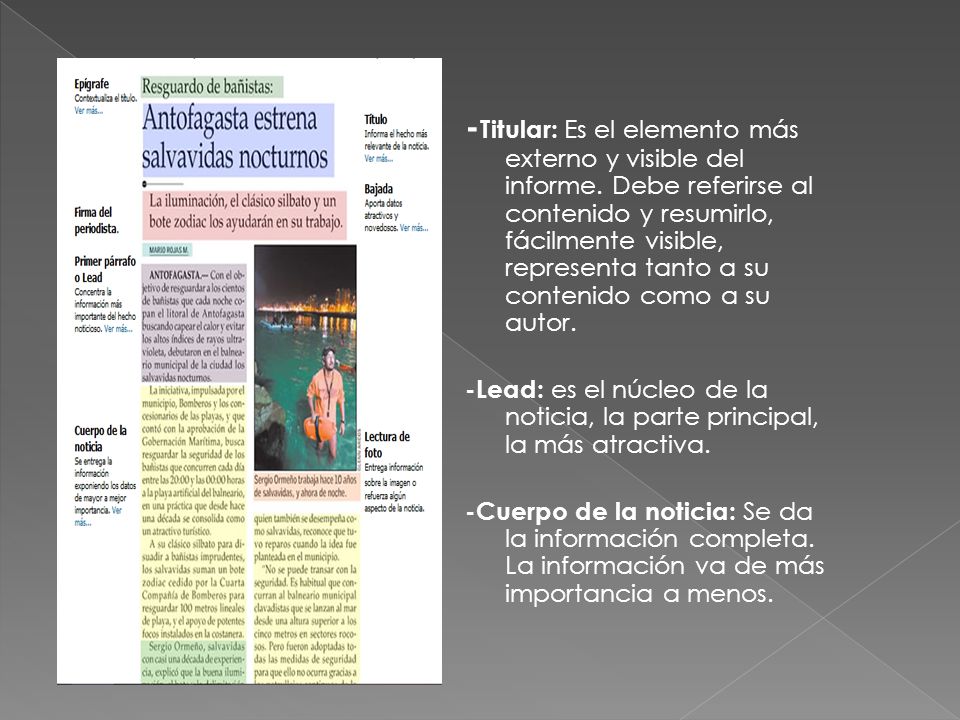 -Titular: Es el elemento más externo y visible del informe