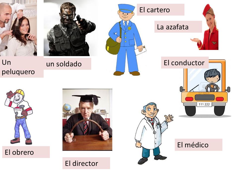 El cartero La azafata Un peluquero un soldado El conductor El médico El obrero El director