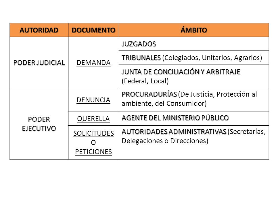 AUTORIDAD DOCUMENTO. ÁMBITO. PODER JUDICIAL. DEMANDA. JUZGADOS. TRIBUNALES (Colegiados, Unitarios, Agrarios)