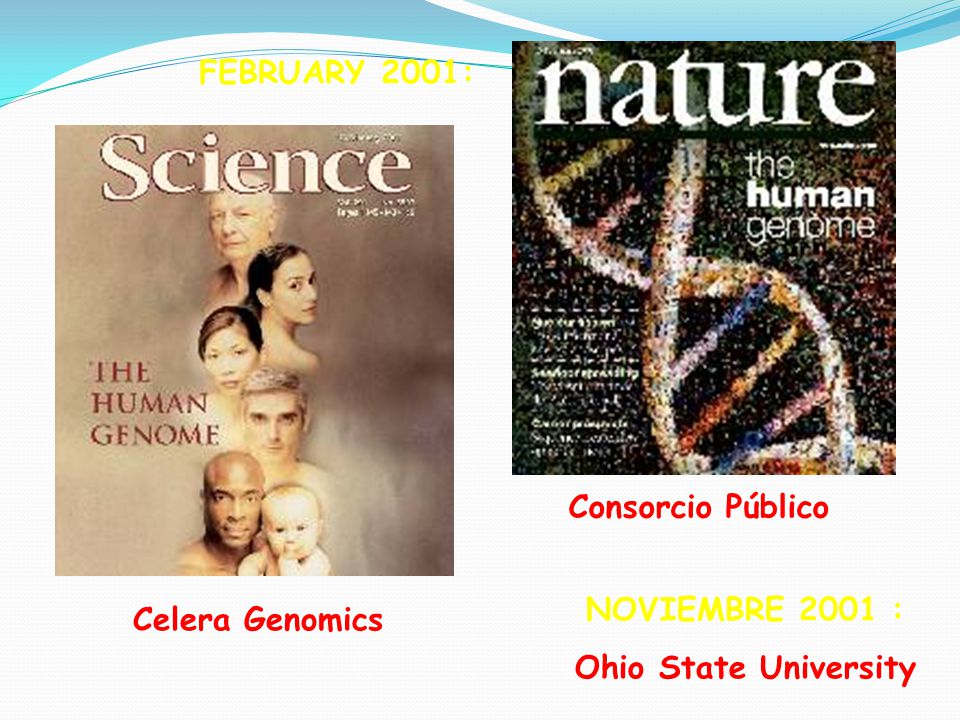 Consorcio Público FEBRUARY 2001: Celera Genomics NOVIEMBRE 2001 : Ohio State University