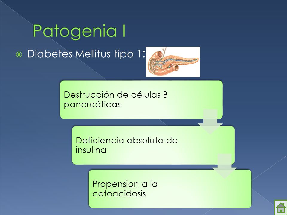 Patogenia I Diabetes Mellitus tipo 1: