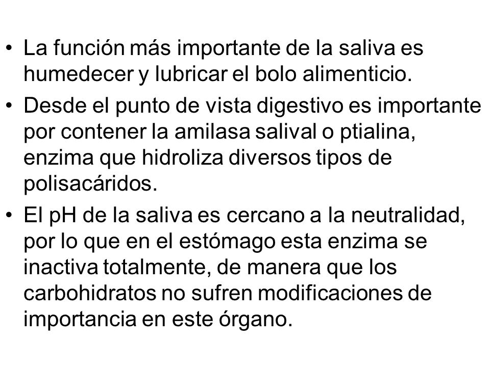 La función más importante de la saliva es humedecer y lubricar el bolo alimenticio.