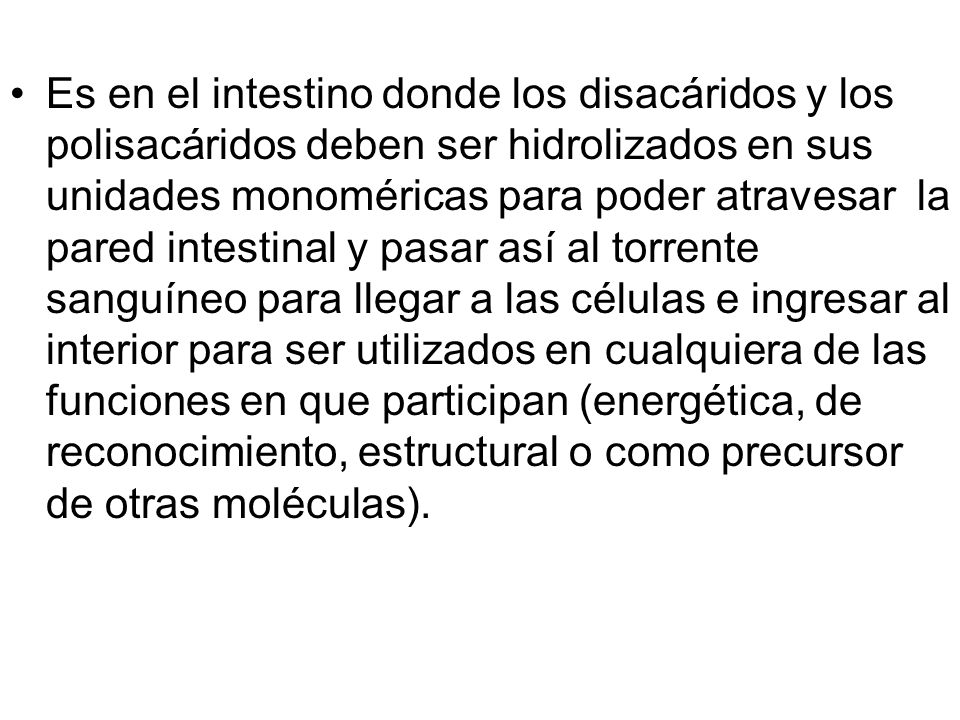 Es en el intestino donde los disacáridos y los polisacáridos deben ser hidrolizados en sus unidades monoméricas para poder atravesar la pared intestinal y pasar así al torrente sanguíneo para llegar a las células e ingresar al interior para ser utilizados en cualquiera de las funciones en que participan (energética, de reconocimiento, estructural o como precursor de otras moléculas).