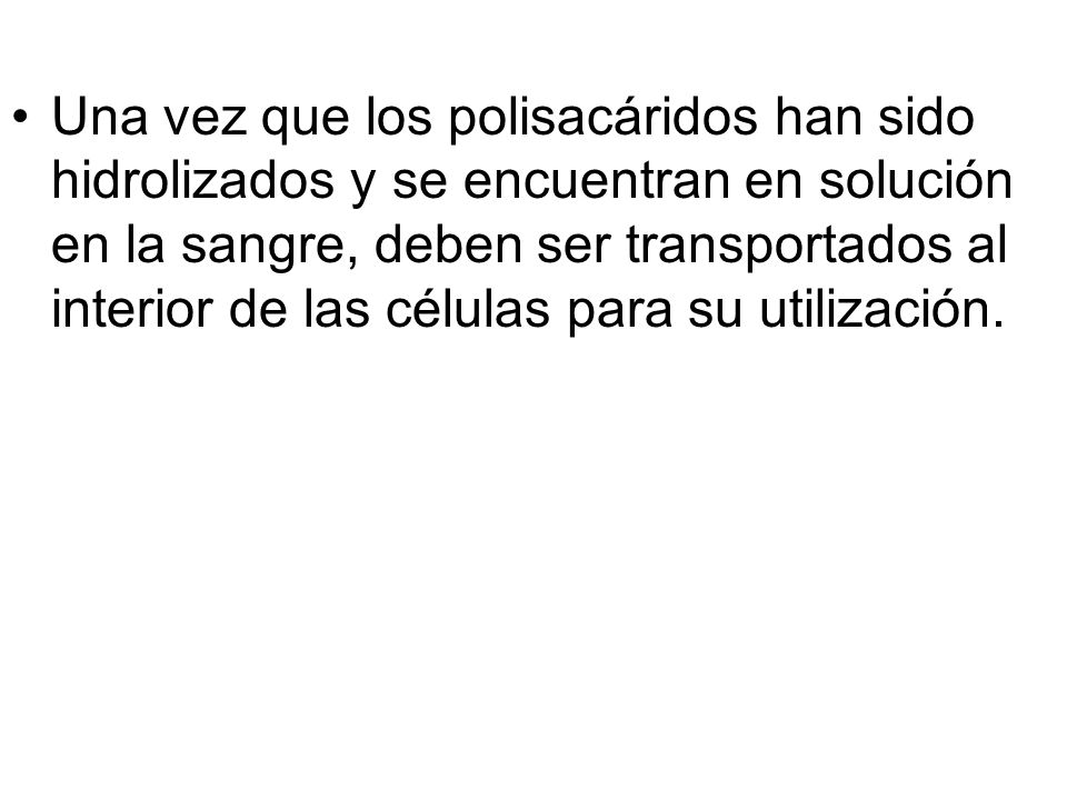 Una vez que los polisacáridos han sido hidrolizados y se encuentran en solución en la sangre, deben ser transportados al interior de las células para su utilización.