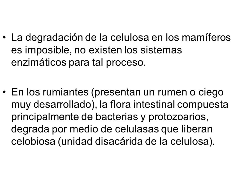 La degradación de la celulosa en los mamíferos es imposible, no existen los sistemas enzimáticos para tal proceso.