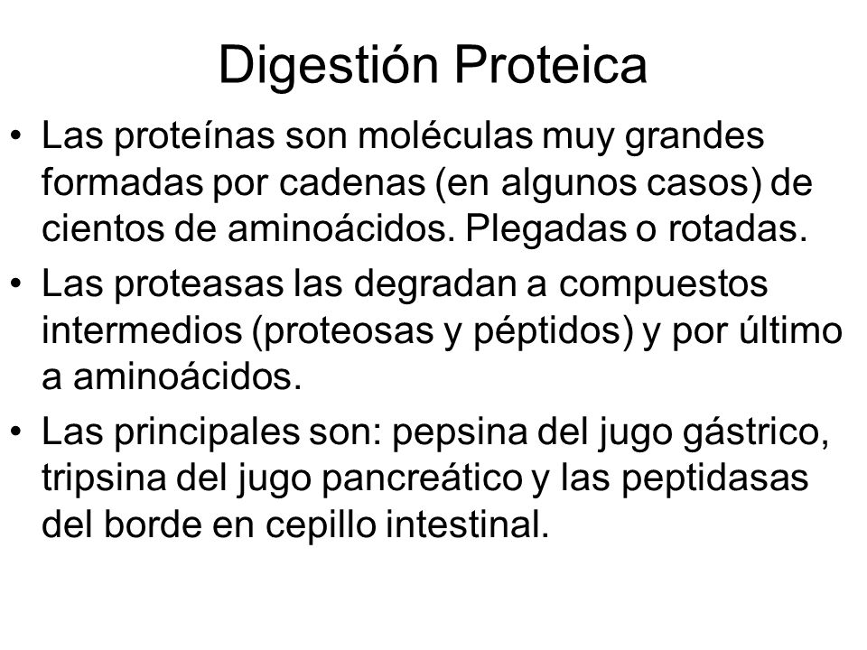 Digestión Proteica Las proteínas son moléculas muy grandes formadas por cadenas (en algunos casos) de cientos de aminoácidos. Plegadas o rotadas.