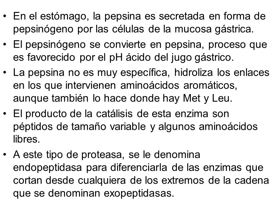 En el estómago, la pepsina es secretada en forma de pepsinógeno por las células de la mucosa gástrica.