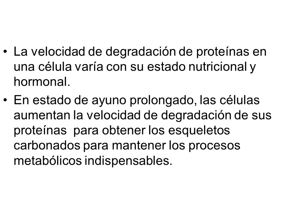La velocidad de degradación de proteínas en una célula varía con su estado nutricional y hormonal.