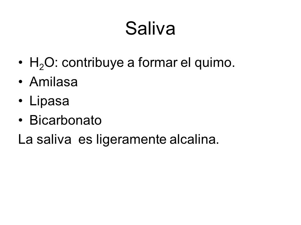 Saliva H2O: contribuye a formar el quimo. Amilasa Lipasa Bicarbonato