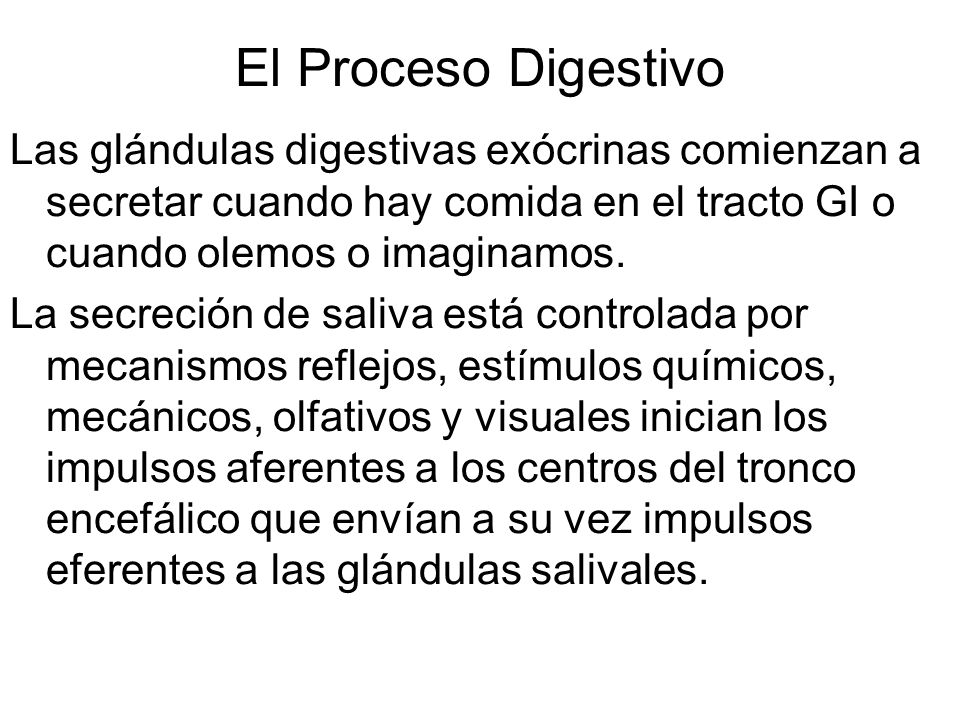 El Proceso Digestivo Las glándulas digestivas exócrinas comienzan a secretar cuando hay comida en el tracto GI o cuando olemos o imaginamos.