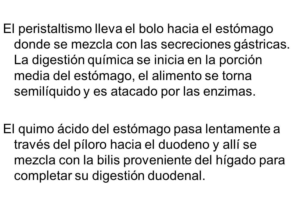 El peristaltismo lleva el bolo hacia el estómago donde se mezcla con las secreciones gástricas. La digestión química se inicia en la porción media del estómago, el alimento se torna semilíquido y es atacado por las enzimas.