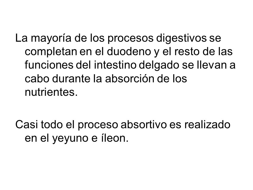 La mayoría de los procesos digestivos se completan en el duodeno y el resto de las funciones del intestino delgado se llevan a cabo durante la absorción de los nutrientes.