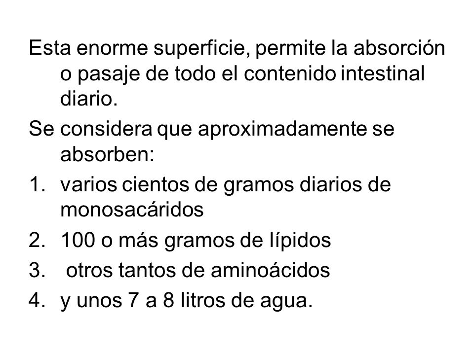 Esta enorme superficie, permite la absorción o pasaje de todo el contenido intestinal diario.