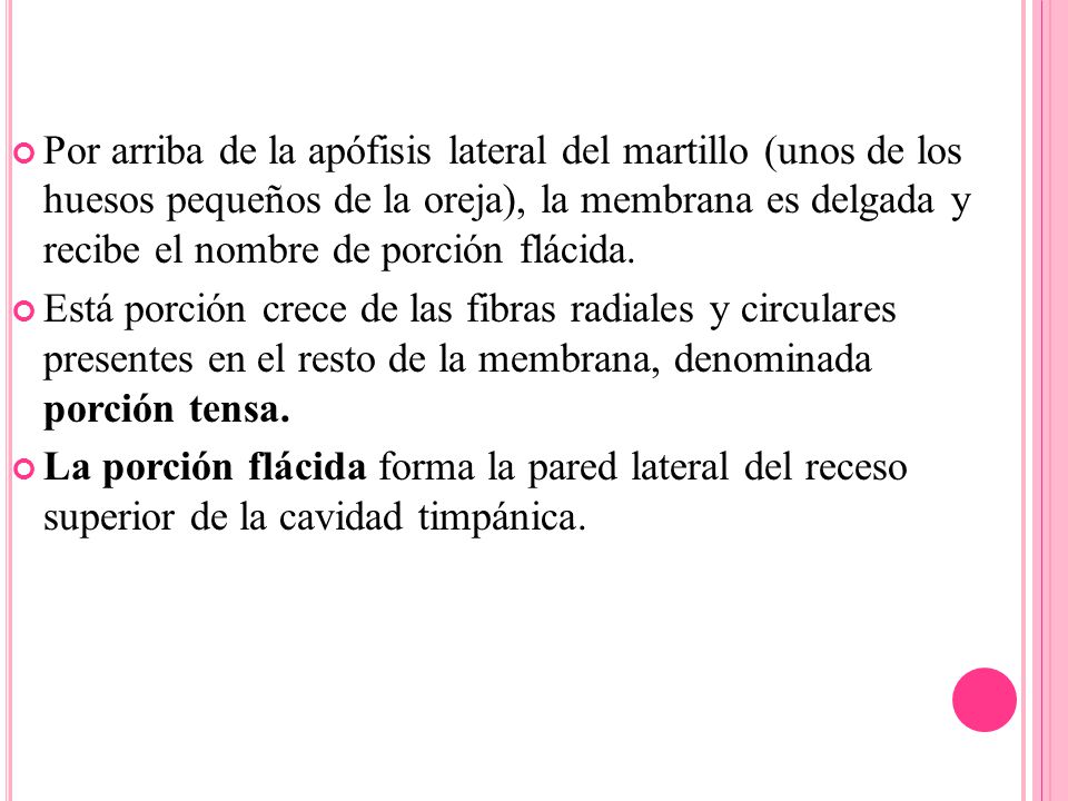 Por arriba de la apófisis lateral del martillo (unos de los huesos pequeños de la oreja), la membrana es delgada y recibe el nombre de porción flácida.