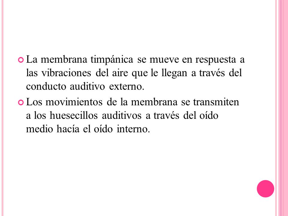 La membrana timpánica se mueve en respuesta a las vibraciones del aire que le llegan a través del conducto auditivo externo.