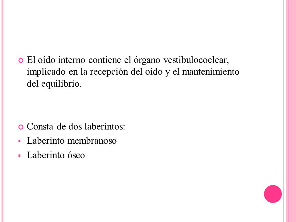 El oído interno contiene el órgano vestibulococlear, implicado en la recepción del oído y el mantenimiento del equilibrio.