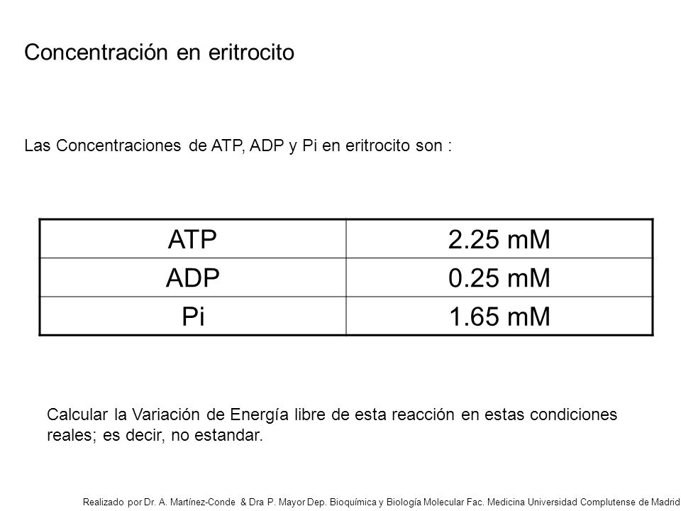 ATP 2.25 mM ADP 0.25 mM Pi 1.65 mM Concentración en eritrocito