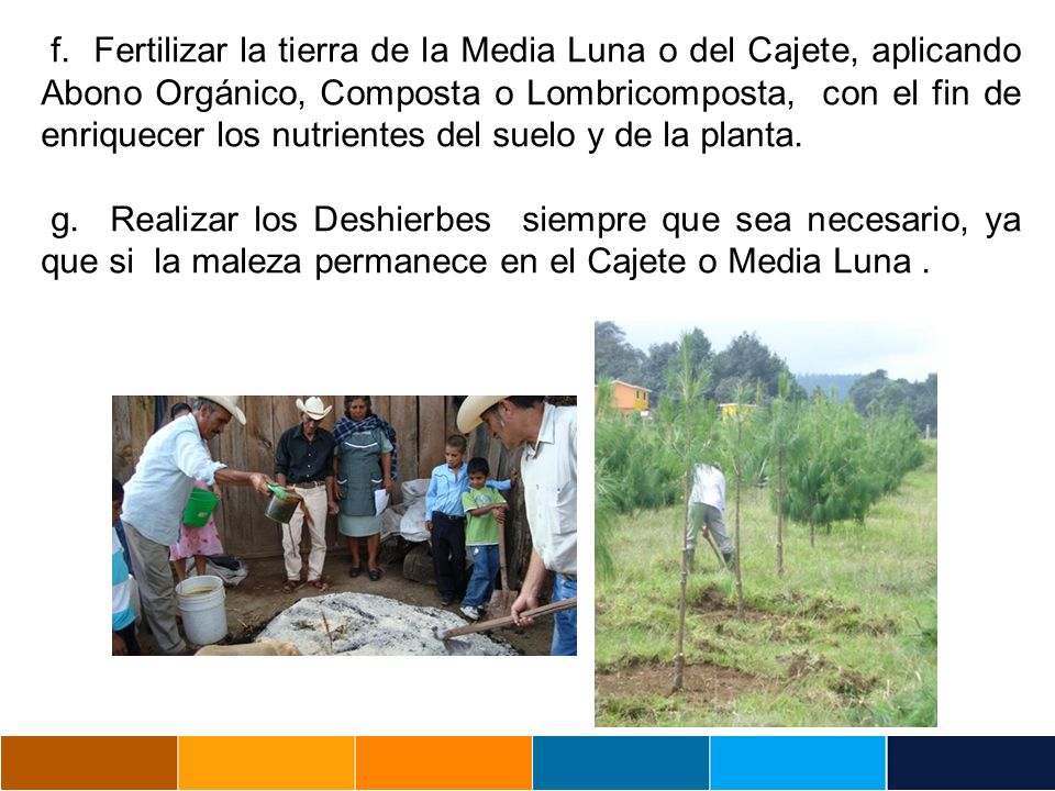 f. Fertilizar la tierra de la Media Luna o del Cajete, aplicando Abono Orgánico, Composta o Lombricomposta, con el fin de enriquecer los nutrientes del suelo y de la planta.