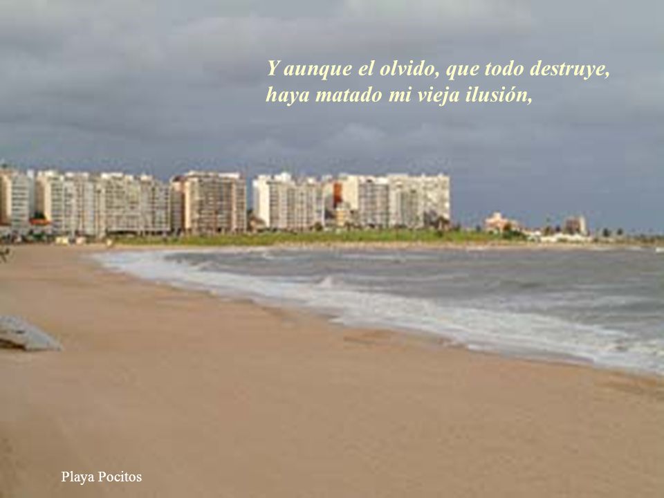 Y aunque el olvido, que todo destruye, haya matado mi vieja ilusión,