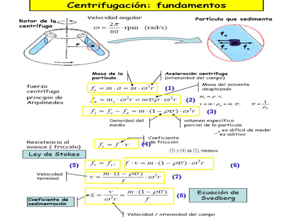 (1) (2) (3) (4) (3) y (4) en (5), tenemos: (5) (6) (7) (8)