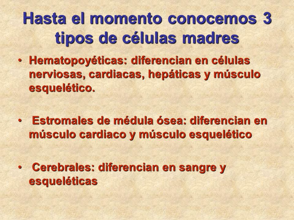 Hasta el momento conocemos 3 tipos de células madres