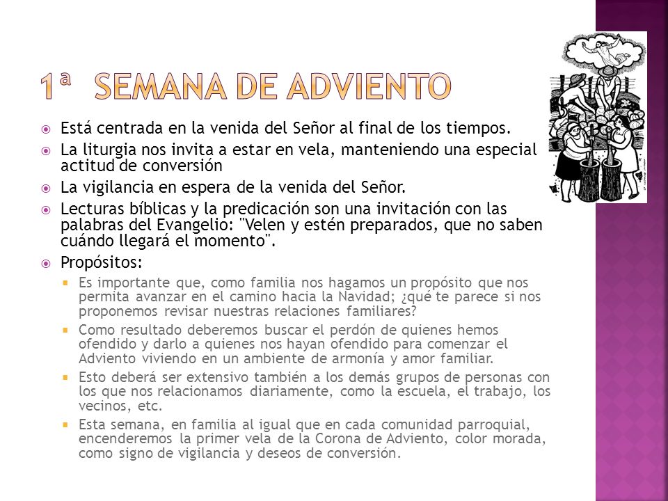 1ª Semana de adviento Está centrada en la venida del Señor al final de los tiempos.