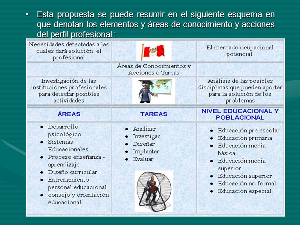 Esta propuesta se puede resumir en el siguiente esquema en que denotan los elementos y áreas de conocimiento y acciones del perfil profesional :